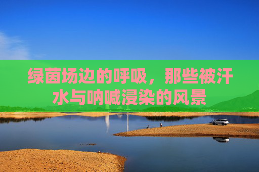 绿茵场边的呼吸，那些被汗水与呐喊浸染的风景