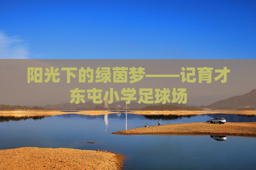 阳光下的绿茵梦——记育才东屯小学足球场