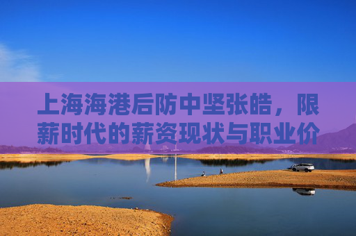 上海海港后防中坚张皓,限薪时代的薪资现状与职业价值