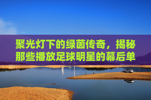 聚光灯下的绿茵传奇,揭秘那些播放足球明星的幕后单位