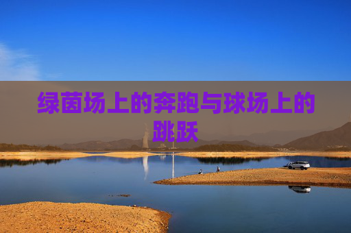 绿茵场上的奔跑与球场上的跳跃