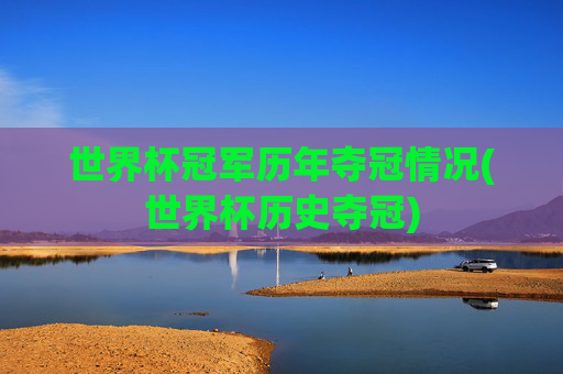 世界杯冠军历年夺冠情况(世界杯历史夺冠)