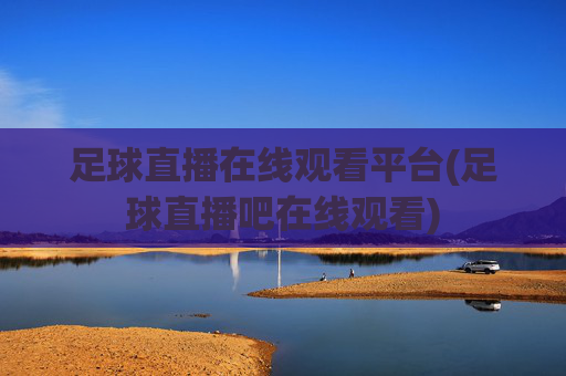 足球直播在线观看平台(足球直播吧在线观看)