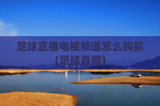 足球直播电视频道怎么购买(足球直播)