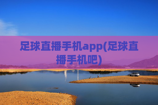 足球直播手机app(足球直播手机吧)