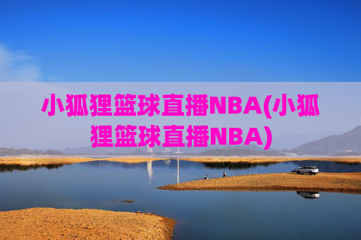 小狐狸篮球直播NBA(小狐狸篮球直播NBA)