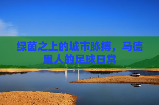 绿茵之上的城市脉搏，马德里人的足球日常