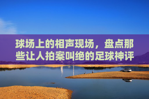 球场上的相声现场，盘点那些让人拍案叫绝的足球神评论