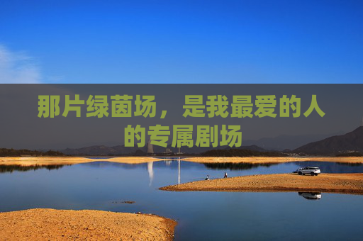 那片绿茵场，是我最爱的人的专属剧场