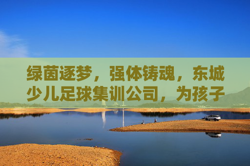 绿茵逐梦，强体铸魂，东城少儿足球集训公司，为孩子开启未来无限可能