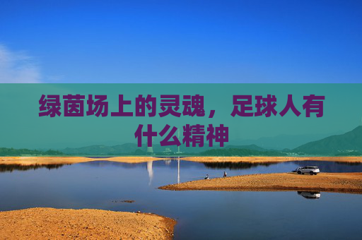 绿茵场上的灵魂，足球人有什么精神