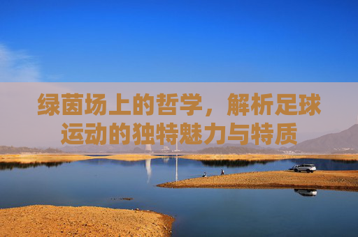 绿茵场上的哲学，解析足球运动的独特魅力与特质