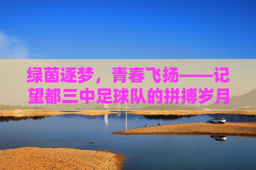 绿茵逐梦，青春飞扬——记望都三中足球队的拼搏岁月