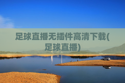 足球直播无插件高清下载(足球直播)