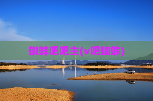 蜘蛛吧吧主(v吧蜘蛛)