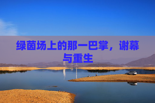 绿茵场上的那一巴掌，谢幕与重生