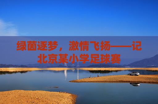 绿茵逐梦，激情飞扬——记北京某小学足球赛