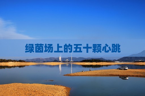 绿茵场上的五十颗心跳