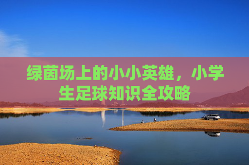 绿茵场上的小小英雄，小学生足球知识全攻略