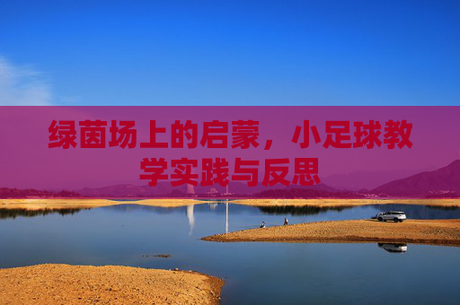 绿茵场上的启蒙，小足球教学实践与反思