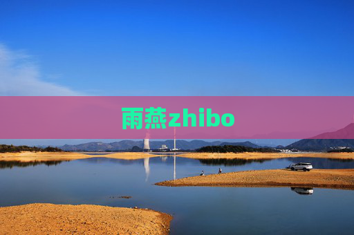 雨燕zhibo