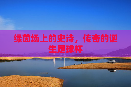 绿茵场上的史诗，传奇的诞生足球杯