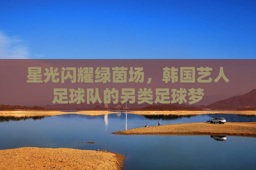星光闪耀绿茵场，韩国艺人足球队的另类足球梦