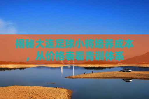 揭秘大连足球小将培养成本，从价格表看青训体系