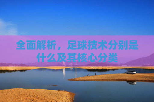 全面解析，足球技术分别是什么及其核心分类