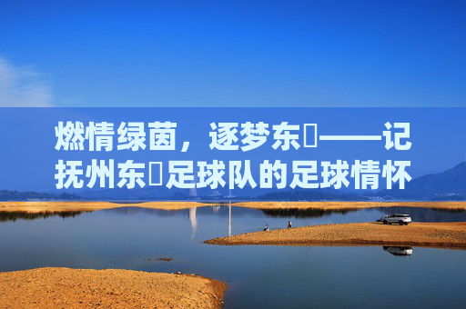 燃情绿茵，逐梦东昇——记抚州东昇足球队的足球情怀与拼搏精神