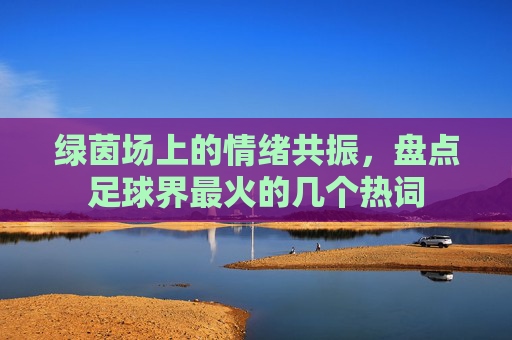 绿茵场上的情绪共振，盘点足球界最火的几个热词