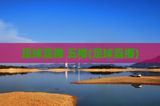 足球直播 五楼(足球直播)