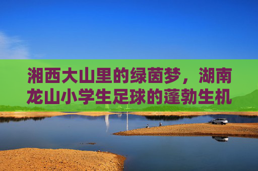 湘西大山里的绿茵梦,湖南龙山小学生足球的蓬勃生机