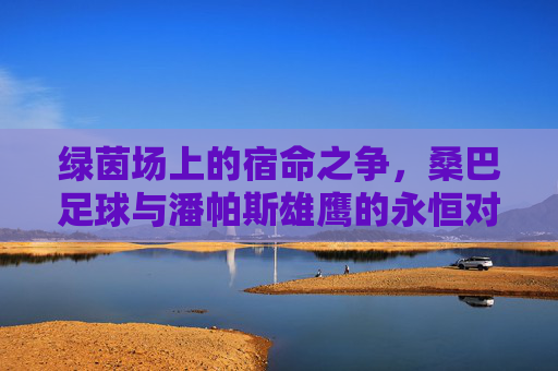 绿茵场上的宿命之争,桑巴足球与潘帕斯雄鹰的永恒对话