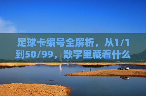 足球卡编号全解析，从1/1到50/99，数字里藏着什么秘密？