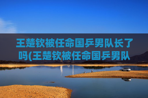 王楚钦被任命国乒男队长了吗(王楚钦被任命国乒男队长了吗)