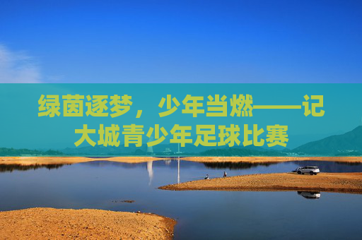 绿茵逐梦,少年当燃——记大城青少年足球比赛
