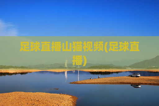足球直播山猫视频(足球直播)
