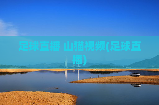 足球直播 山猫视频(足球直播)
