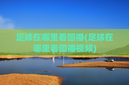 足球在哪里看回播(足球在哪里看回播视频)