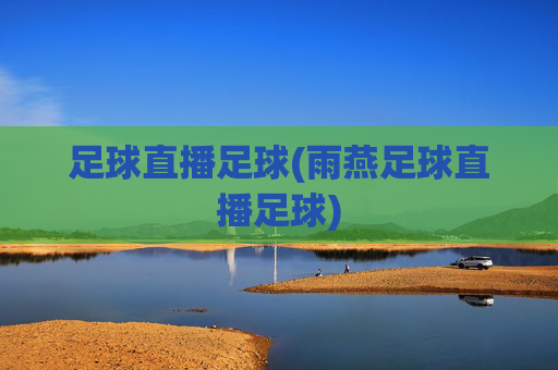 足球直播足球(雨燕足球直播足球)