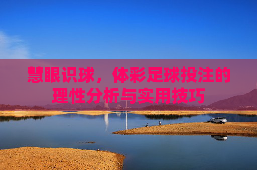 慧眼识球,体彩足球投注的理性分析与实用技巧