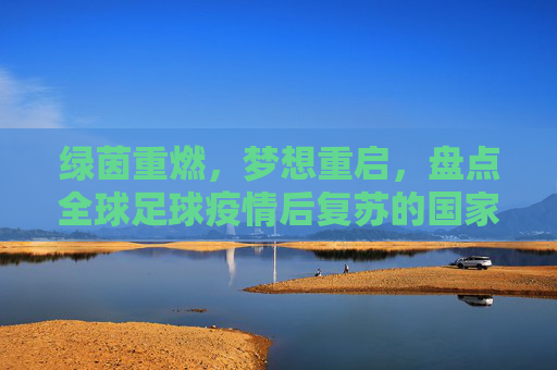 绿茵重燃,梦想重启,盘点全球足球疫情后复苏的国家