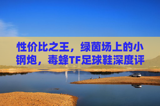 性价比之王,绿茵场上的小钢炮,毒蜂TF足球鞋深度评测