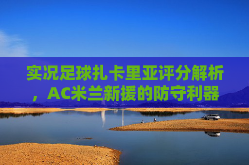 实况足球扎卡里亚评分解析,AC米兰新援的防守利器与实战潜力
