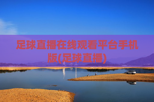 足球直播在线观看平台手机版(足球直播)