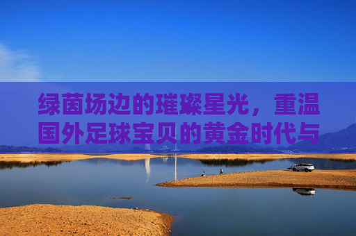 绿茵场边的璀璨星光,重温国外足球宝贝的黄金时代与演变