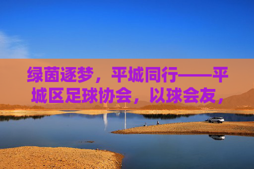绿茵逐梦,平城同行——平城区足球协会,以球会友,共筑体育梦想