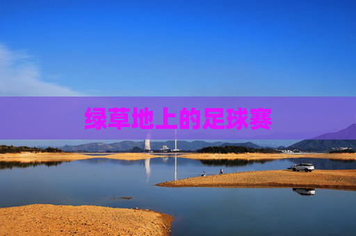 绿草地上的足球赛