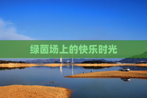绿茵场上的快乐时光